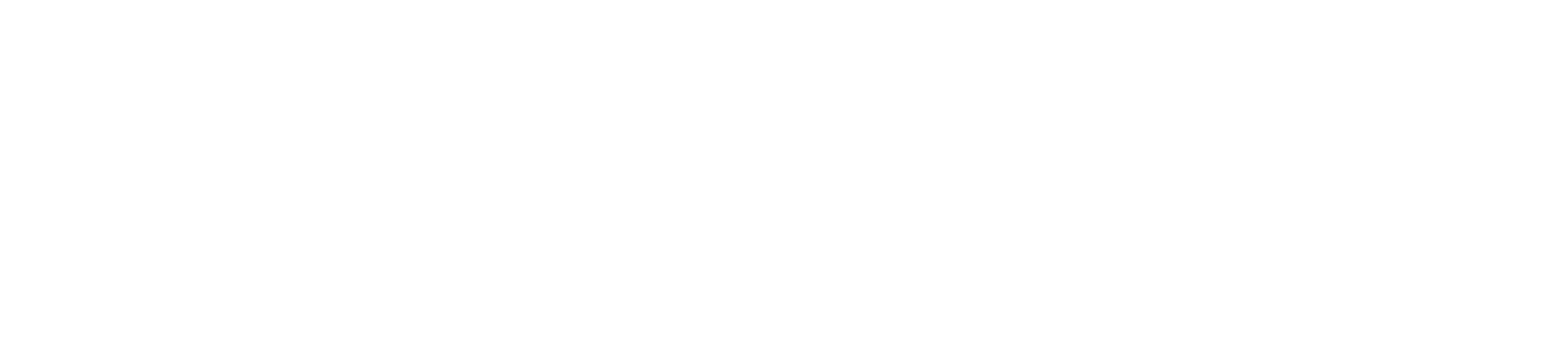 Pega logo