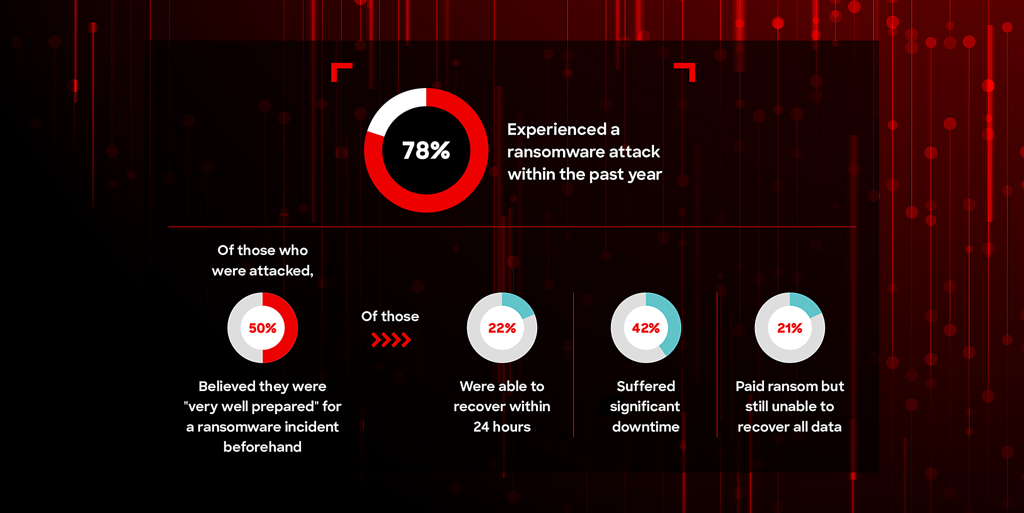 report stats screenshot